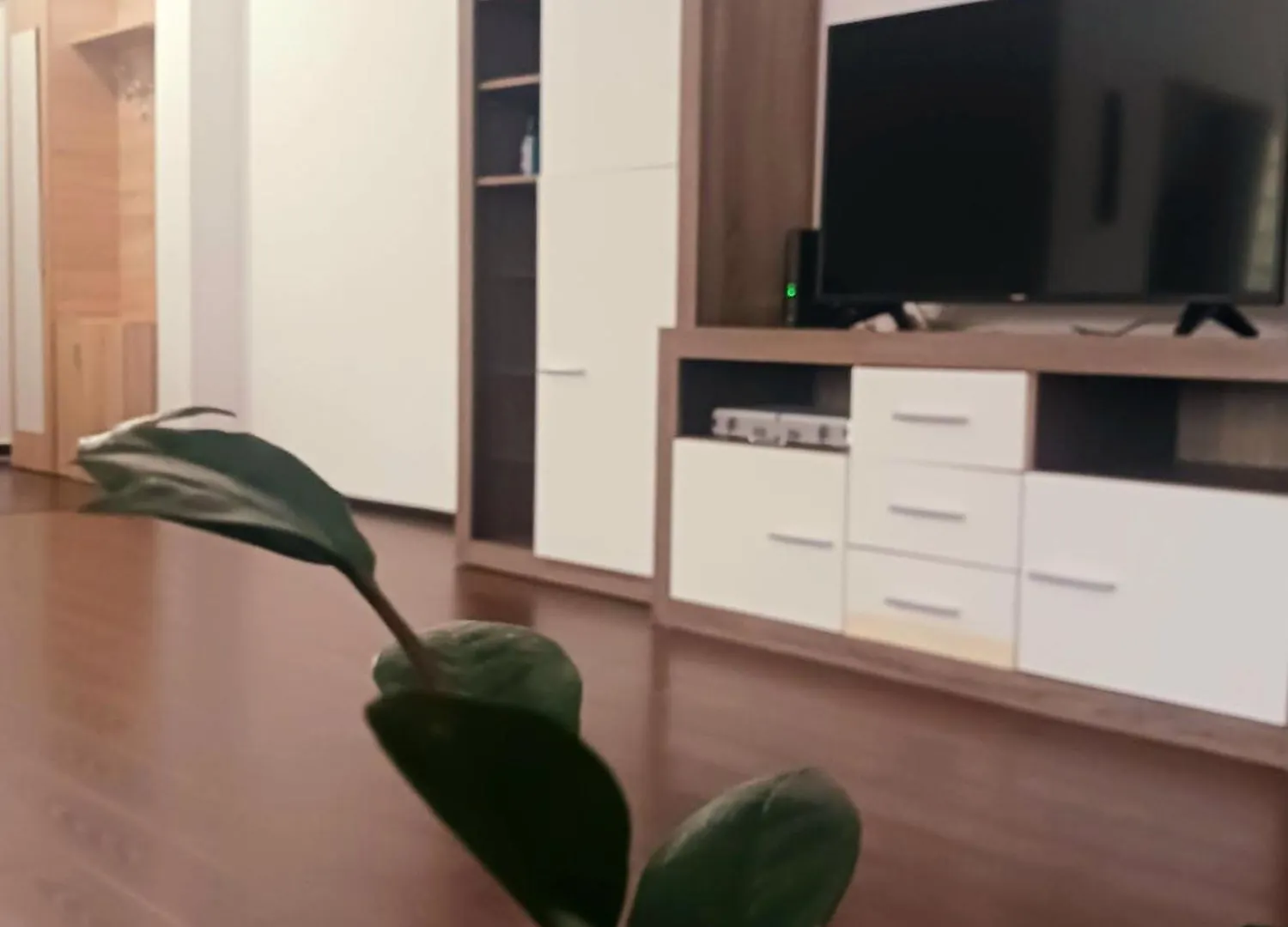 The Big Apartment Bucharest